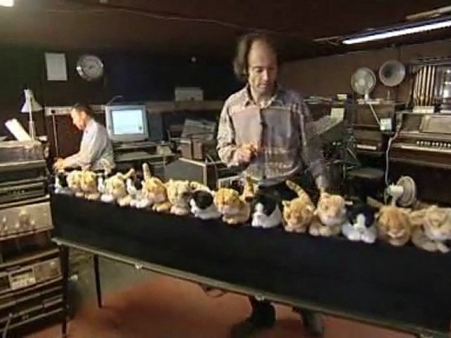 L Orgue Peluche De Chat Video Dailymotion