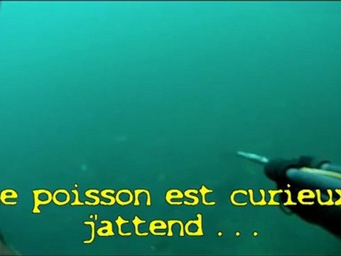 chasse sous marine bretagne plongée oct 2011