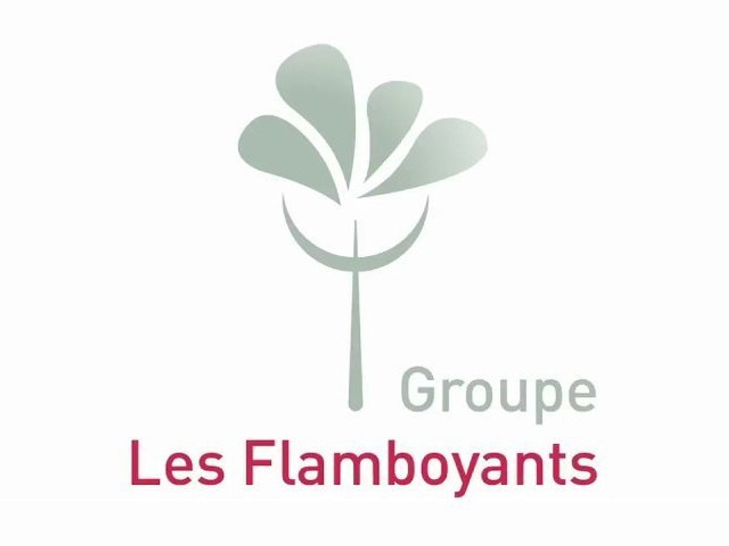 Emploi Ergotherapeute Groupe Les Flamboyants Le Port La Reunion Le Port En Cdi