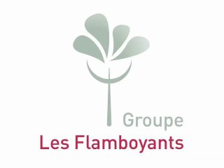 Groupe Les Flamboyants - Présentation