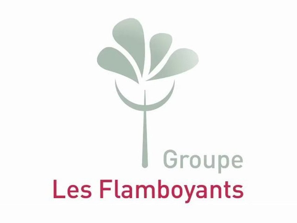 Groupe Les Flamboyants - Présentation