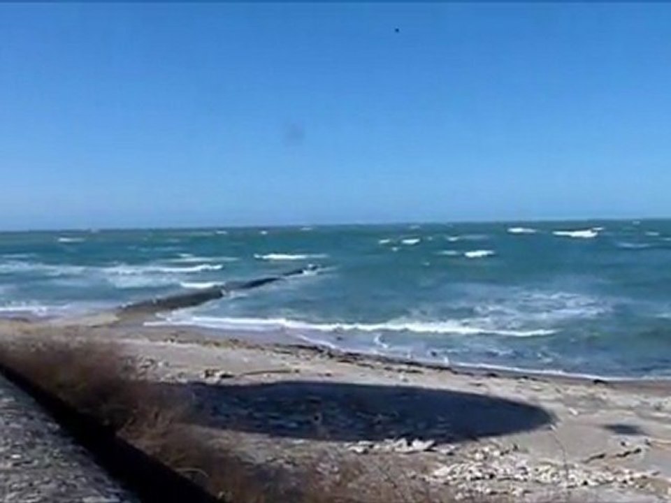 vagues de l'ile de ré