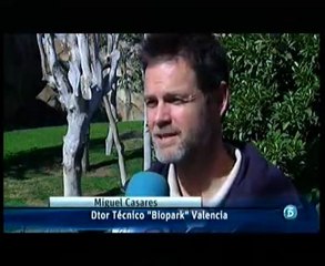 Telecinco: "Todo indica que la primavera no tarda en llegar a España"