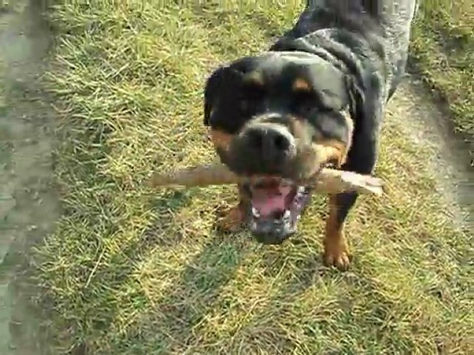 ballade du 6 mars 2012 009