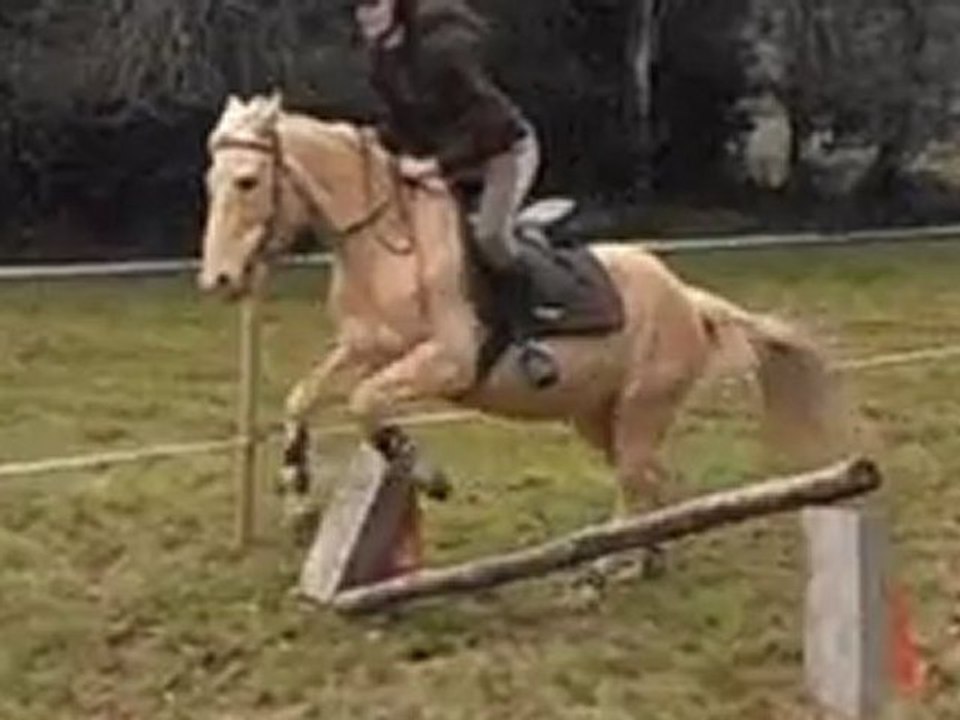 Séance de saut 04.03.12 avec Opale & Ratatouille