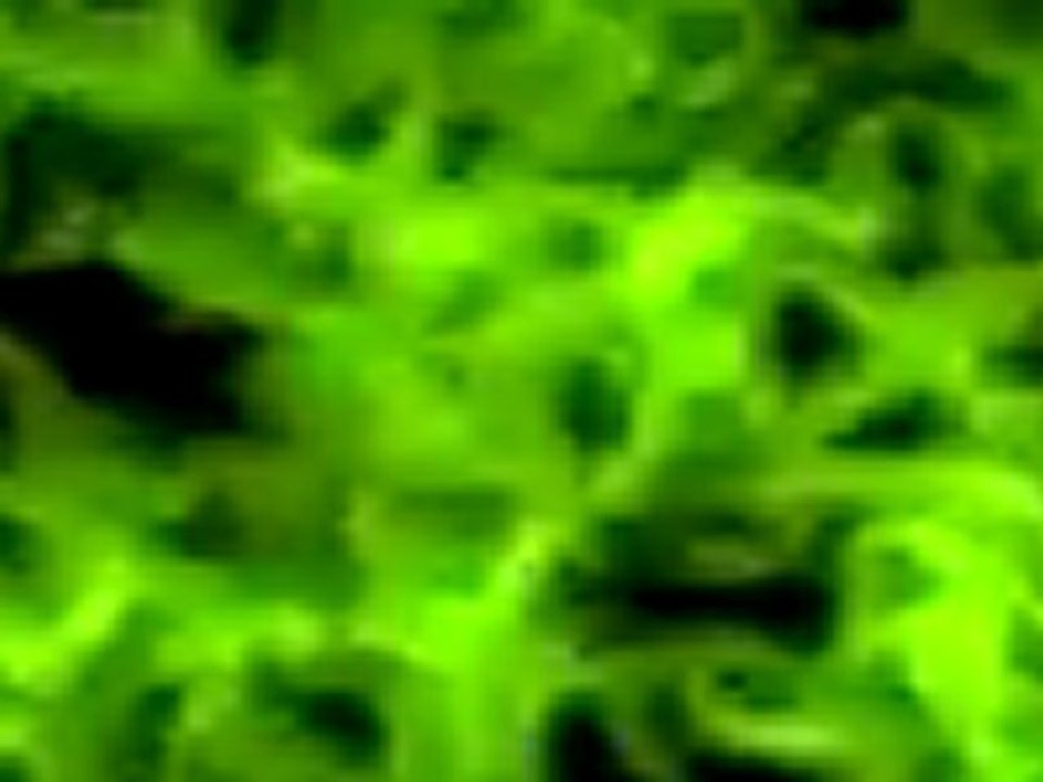 Intro2 srz