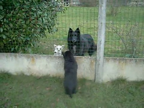 4 mars 2012 (2) : 7 semaines et demi