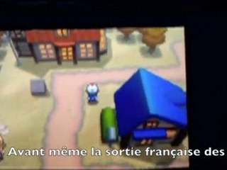 Solochi Shiney - 1907 oeufs