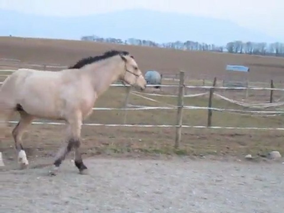 mars 2012 (2)