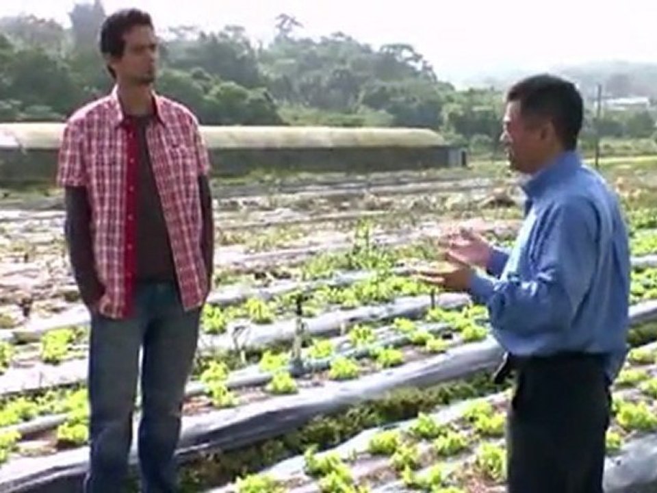 Matemática nas Profissões 2