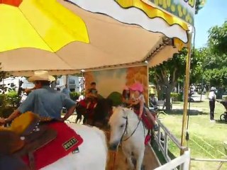 2010 :FAIR PLEASANTON 036