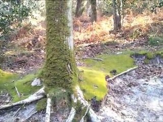 Jazzy - Jacques MARTIN