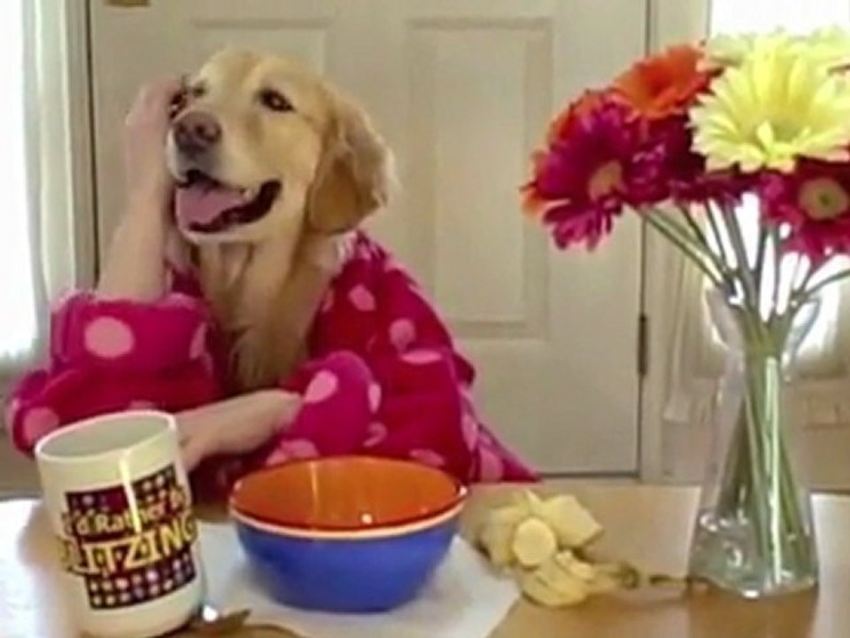 nono prend son petit dejeuner lol