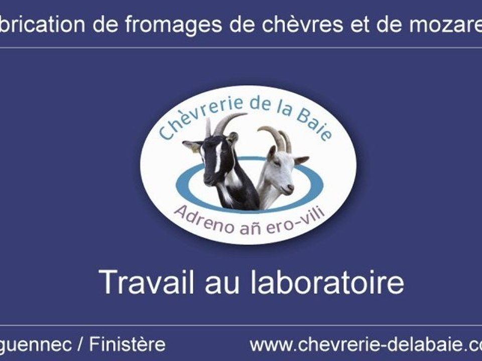 Travail de Marisa au laboratoire de la Chèvrerie de la Baie