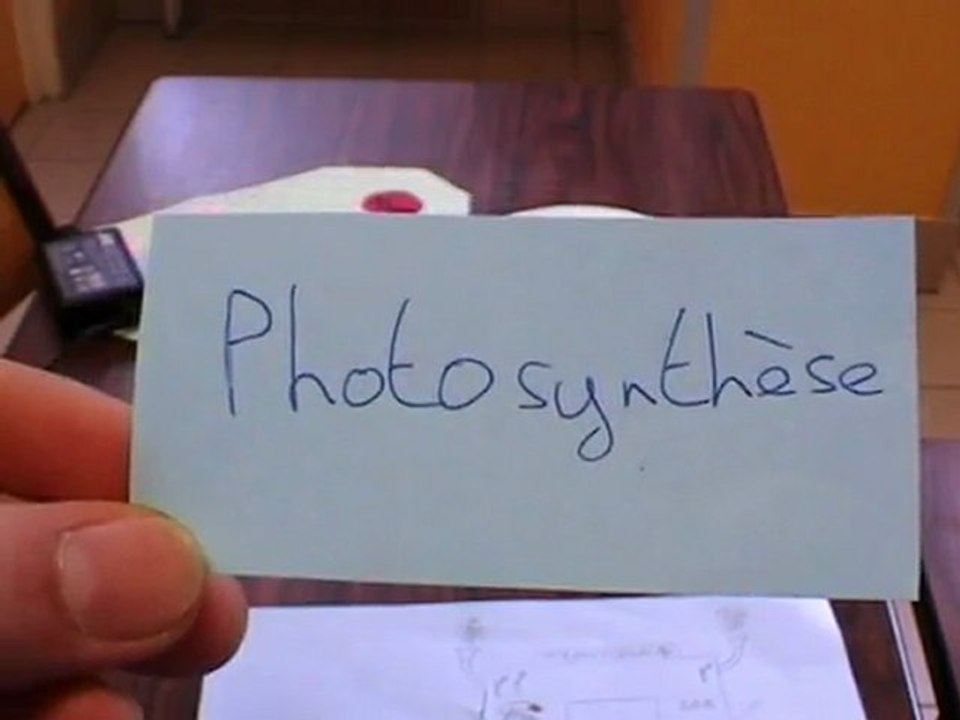 La photosynthèse animée