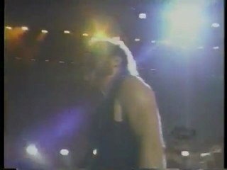 Metallica Live @  Woodstock, NY August 13 94 Part 2