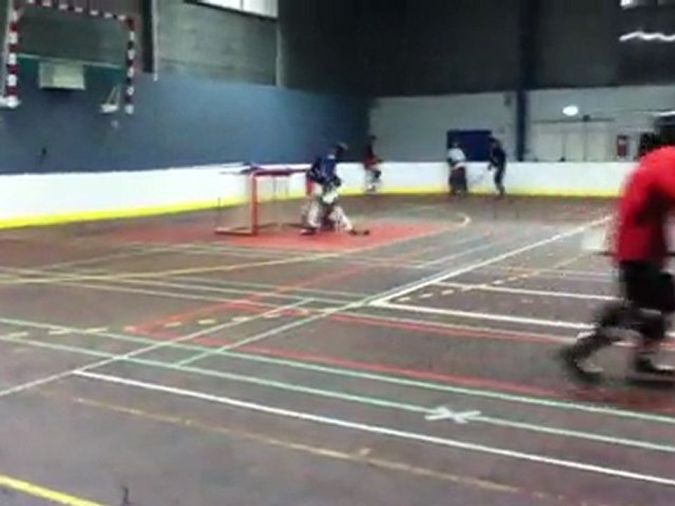 mika the gaule keeper