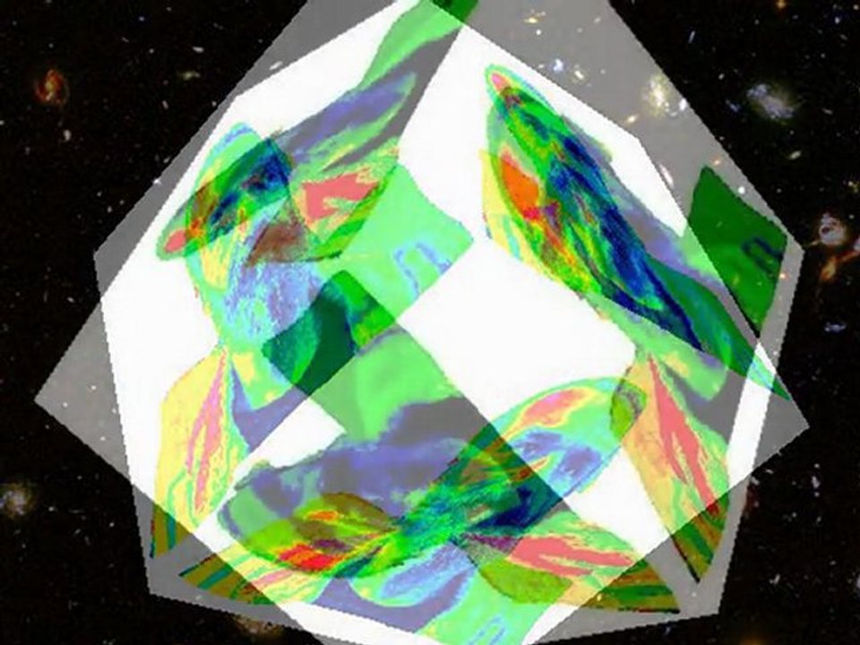 laisser l'avenir dire et venir