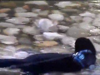 Bretzel dans le courant d'eau peu profonde aout 2011 / my pet mink