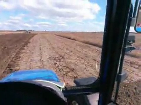 NEW HOLLAND TL100A AYÇİÇEK SAPLARINA GOBRA ÇEKİYOR...!!2011 part2