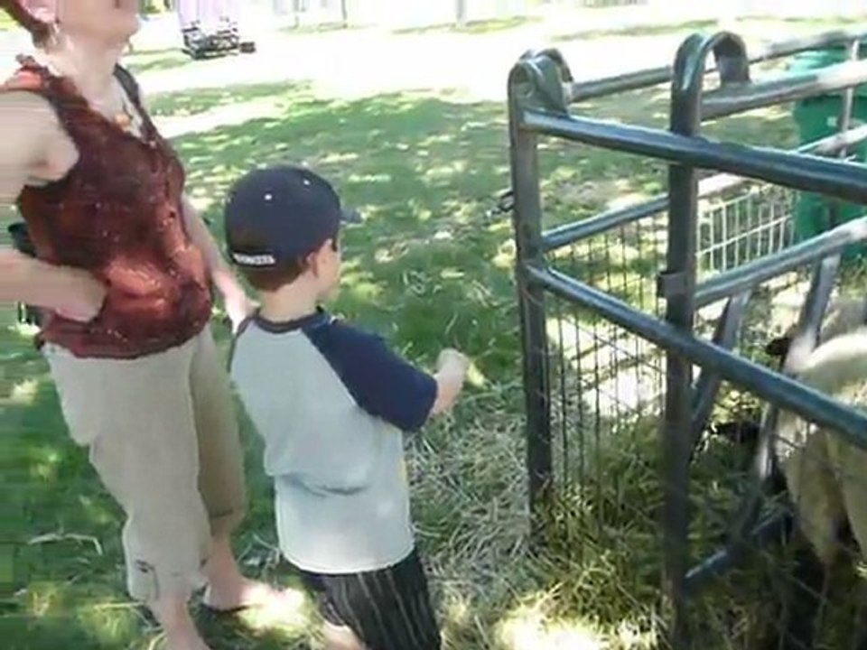 2011 : ALAMEDA COUNTY FAIR - 022