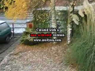 MATIN ENNEIGEE EN DECEMBRE 2008