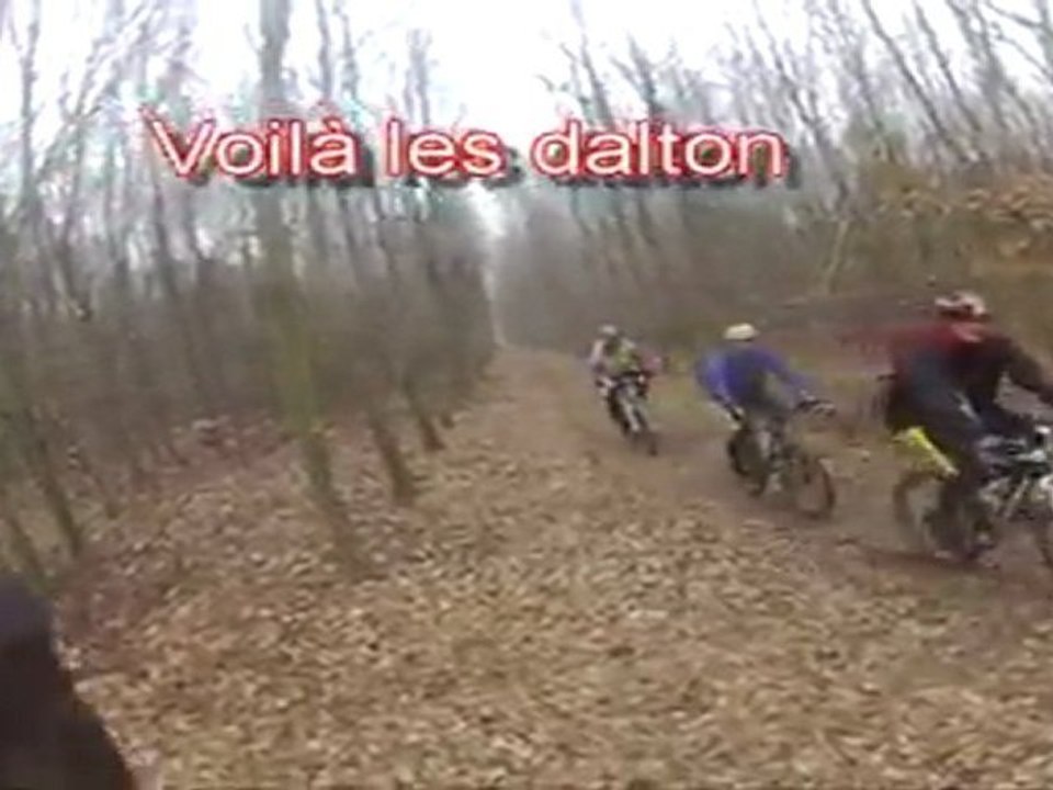 sortie fin février