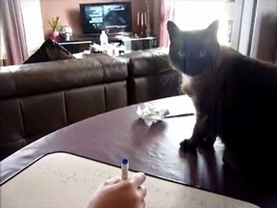 pierre_et_marou_font_des_maths