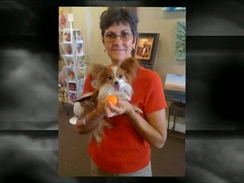 Dog Sitters | El Dorado Hills Dog Sitters| 916-802-6923