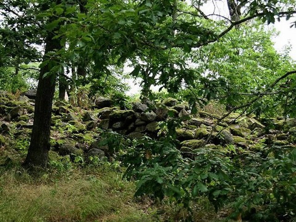 Die Umfriedung der Sippen