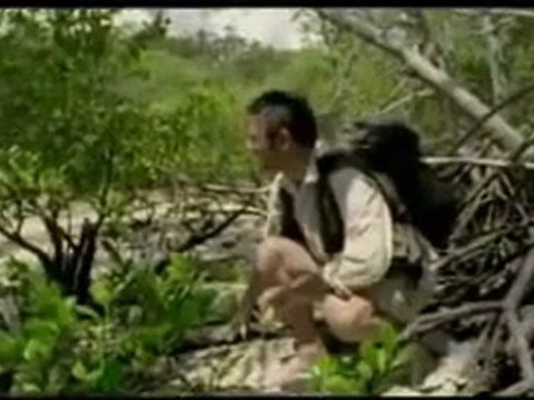 Vor 36 Millionen Jahren - Basilosaurus - Monster der Tiefe - Teil 4 von 9