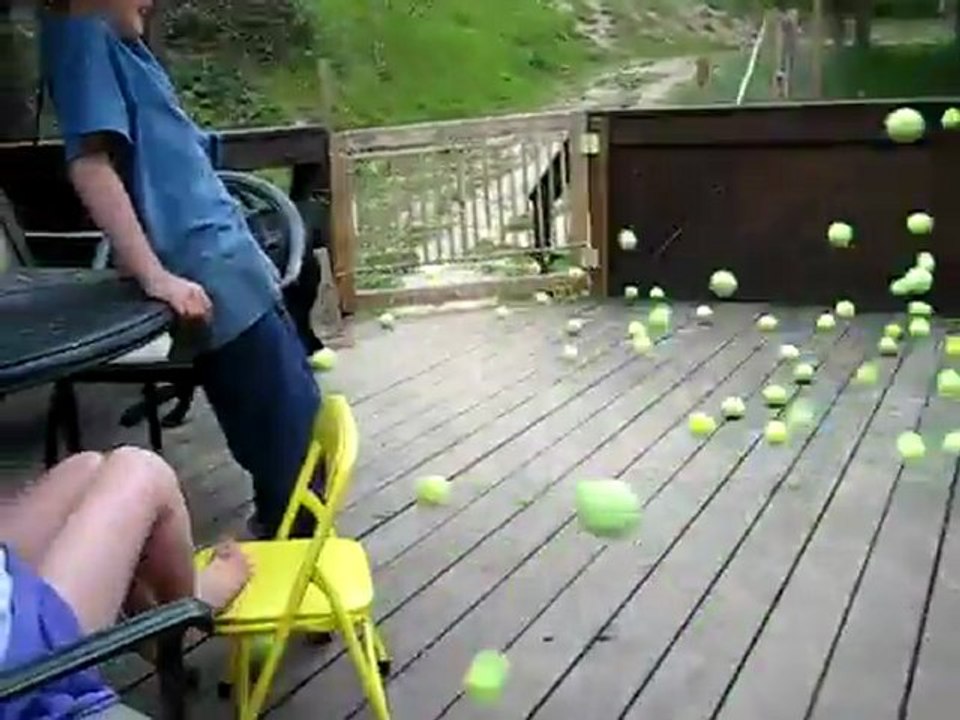 Le rêve pour un chien !