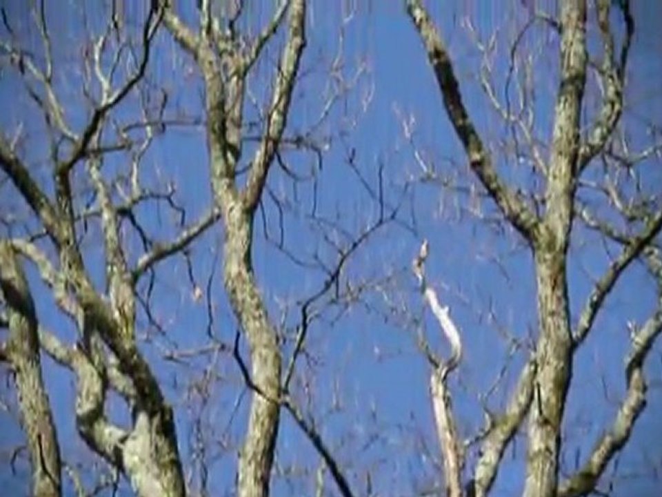 Domaines et Patrimoine