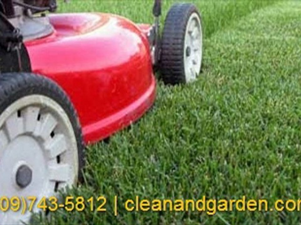 move in service - clean and garden