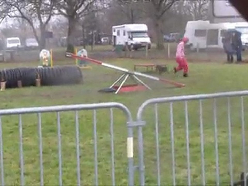 Vodka Sorinières 2012