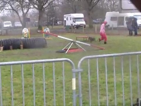 Vodka Sorinières 2012