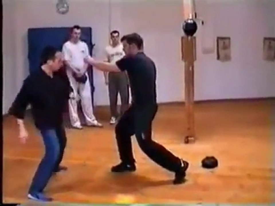 Self defense styles comparison