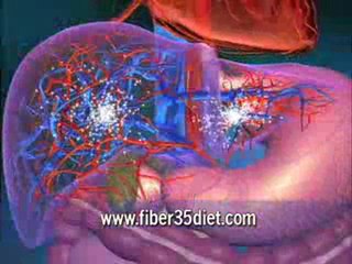 Brenda Watson's Fiber 35: Nature's Weight Loss Secret - Stabilize Blood Sugar