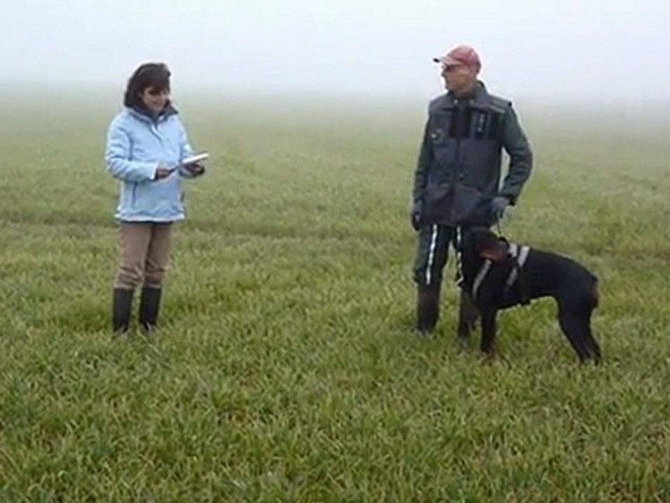 Diky - Certificat RCI le 03/03/2012 à Roinville - Pistage