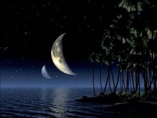 【癒し】 究極の癒しをあなたに