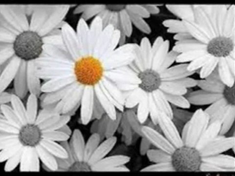 Murat İnCe - iLk Ve soN AşkıM