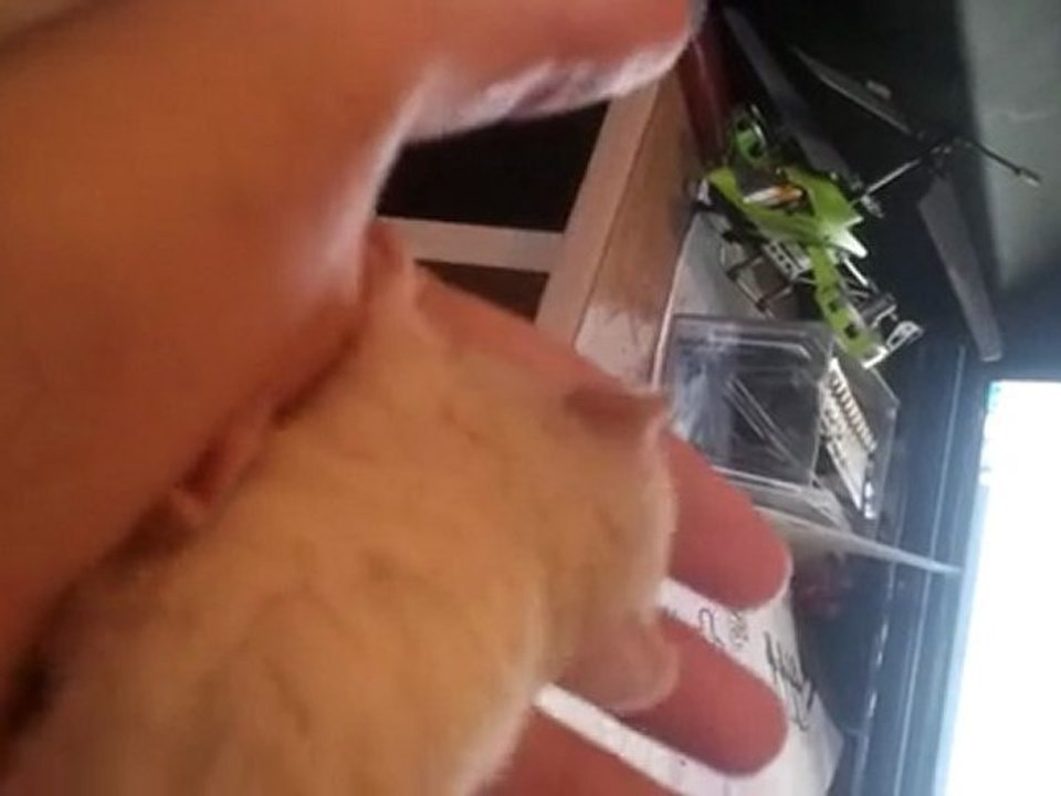 fifille 1