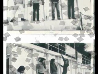 The BASTARD WIZARD (concert un soir)