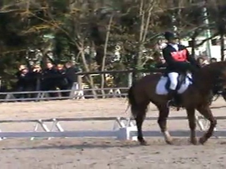 dressage royan