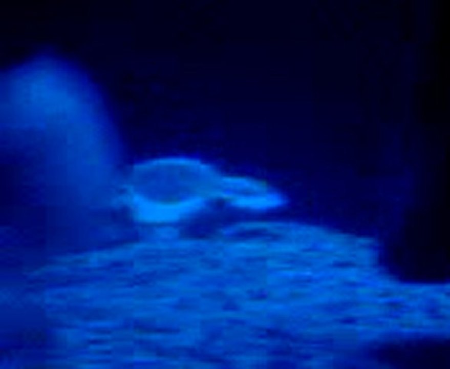 Video0030