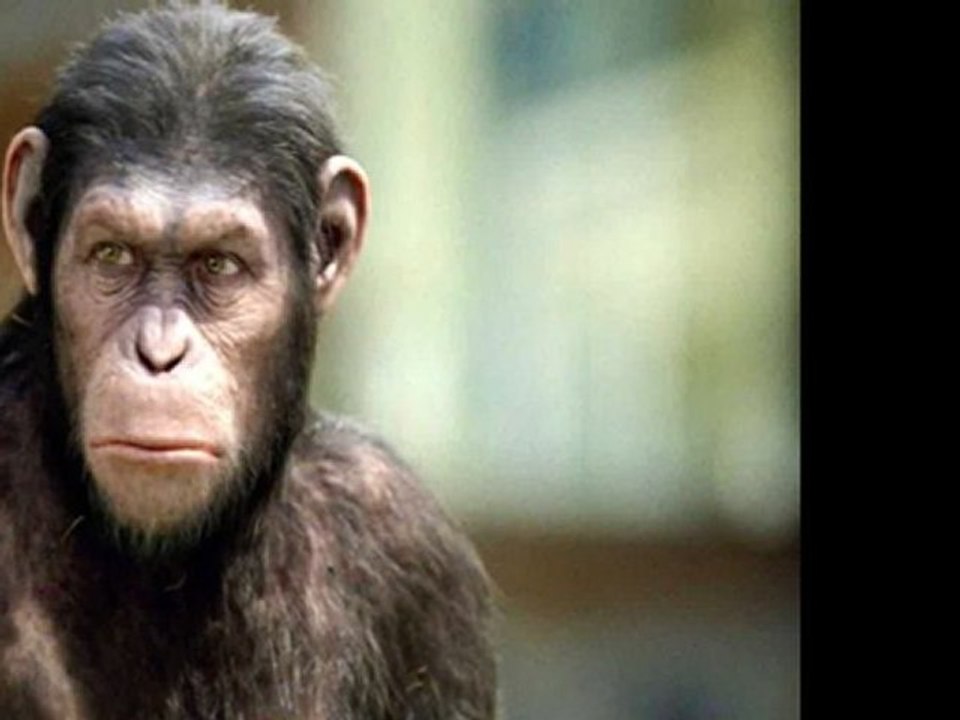 "Rise of the Planet of the Apes" Premiere Tom Felton, Rupert Grint, Freida Pinto