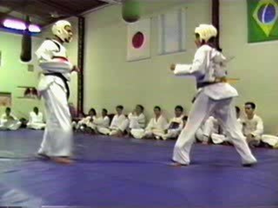 TAEKWONDO FREE FIGHT 8