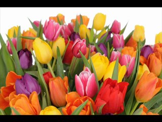 WSZYSTKIEGO NAJLIEPSZEGO_WYKONAL_Fr.