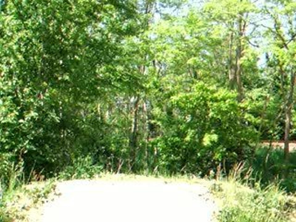 saut rivolie