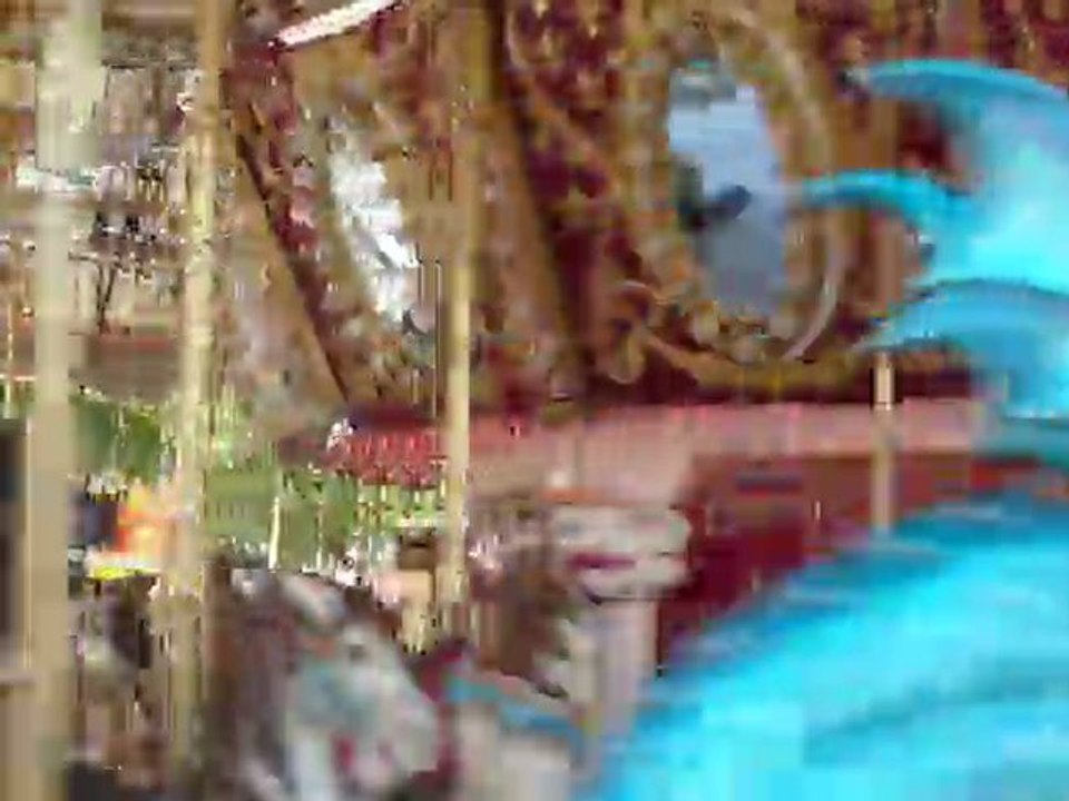 2011 : ALAMEDA COUNTY FAIR -  035